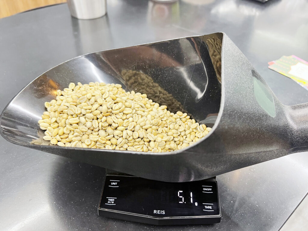 SCA자격증 로스팅 실습 생두 계량